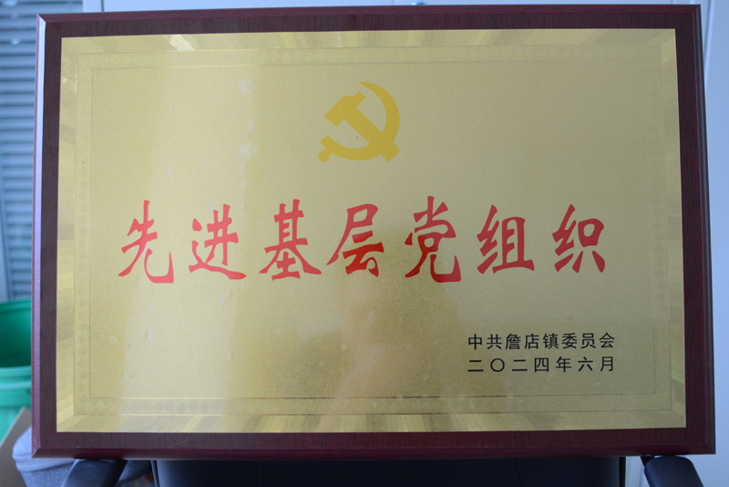 先進組織(網站).jpg 先進組織(網站).jpg